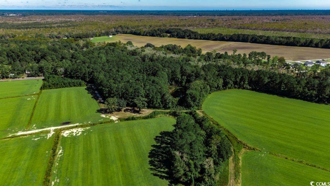 8.06-acs Old Bucksville Road Conway, SC 29527 - Photo 9 of 13