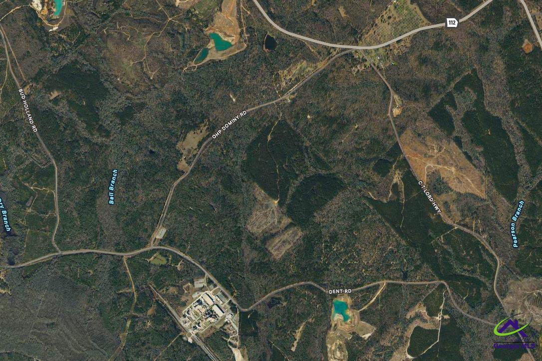 Ohp Dominy Road Toomsboro, GA 31090 - Photo 24 of 24