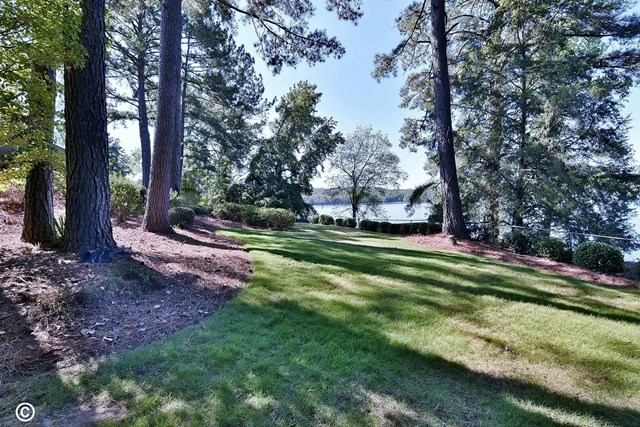 7309 Standing Boy Road Columbus, GA 31904 - Photo 4 of 35 Backyard