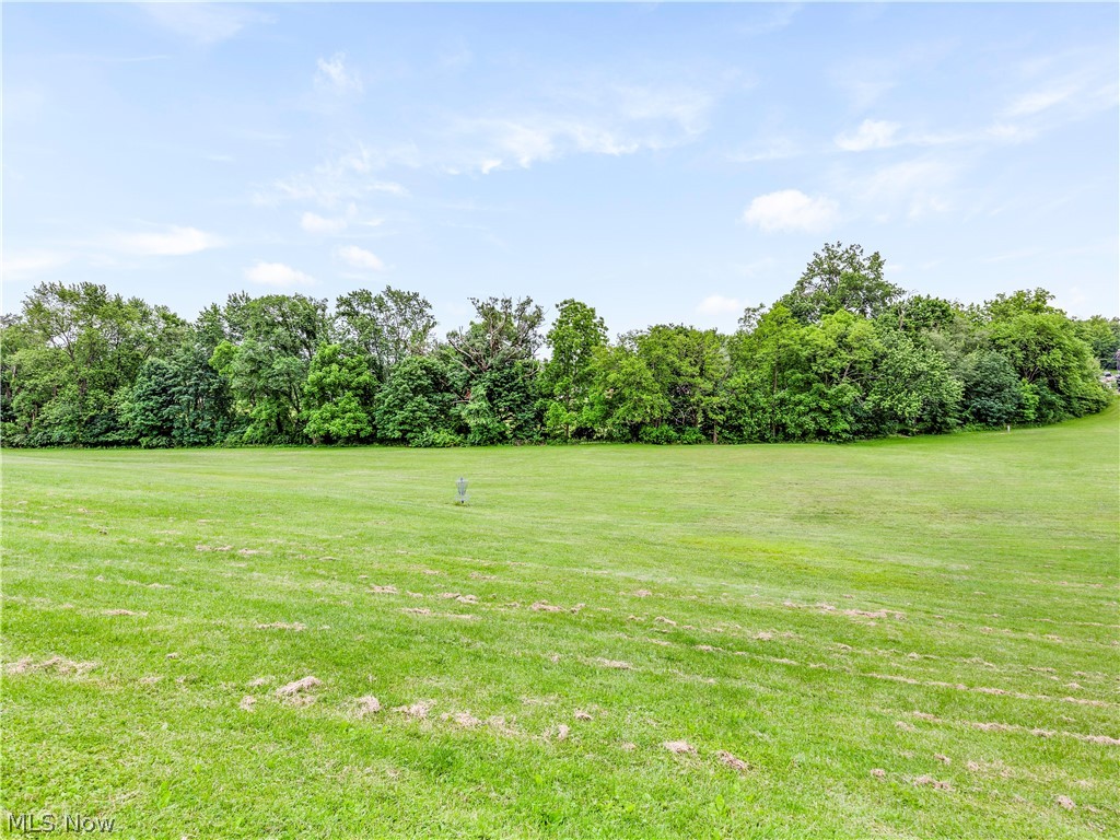 850 Rice Street Alliance, OH 44601 - Photo 5 of 29 View across the street of a park