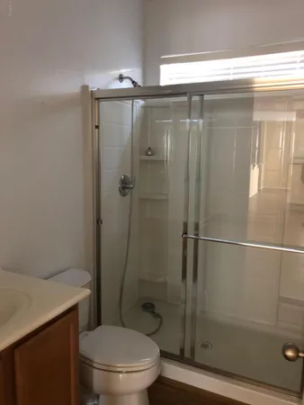 a bathroom with a shower and a toilet