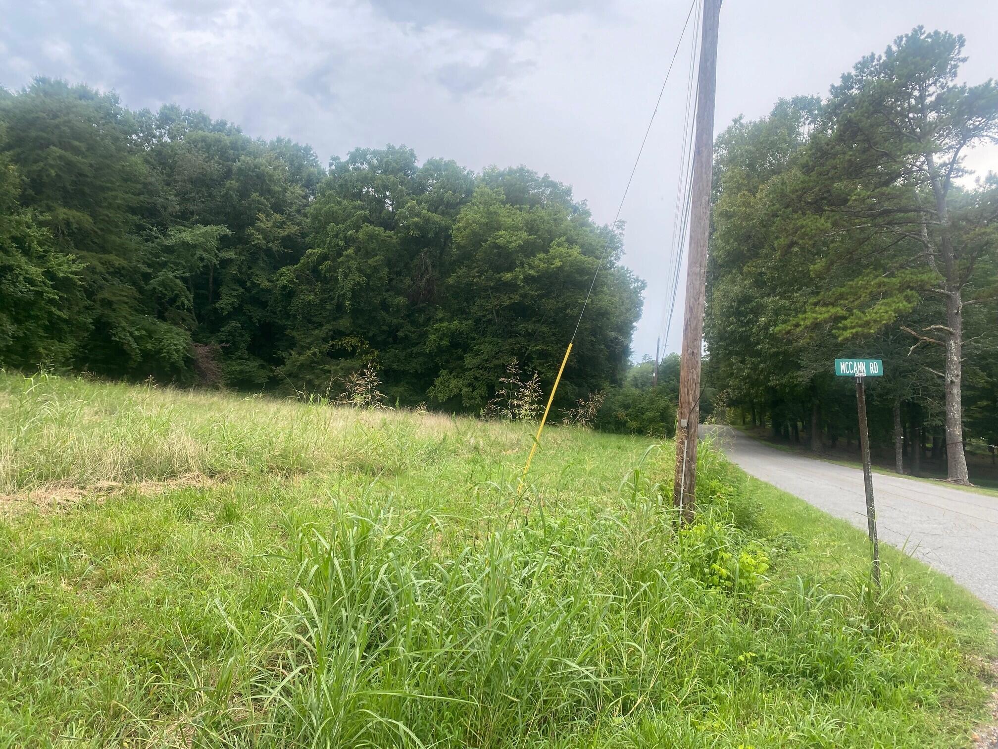 12.94 Francis Spring Road Jasper, TN 37347 - Photo 2 of 7 3