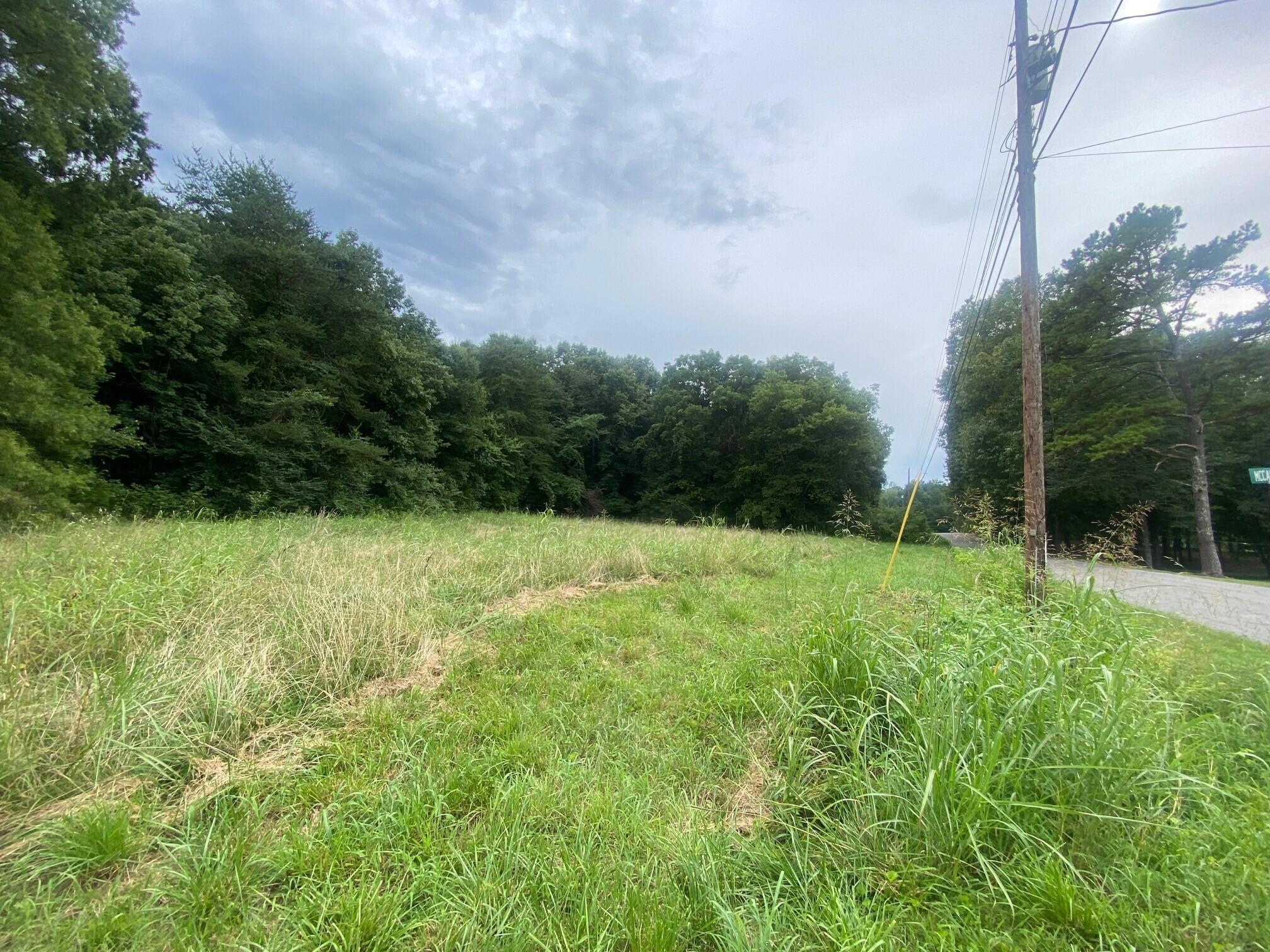12.94 Francis Spring Road Jasper, TN 37347 - Photo 5 of 7 8