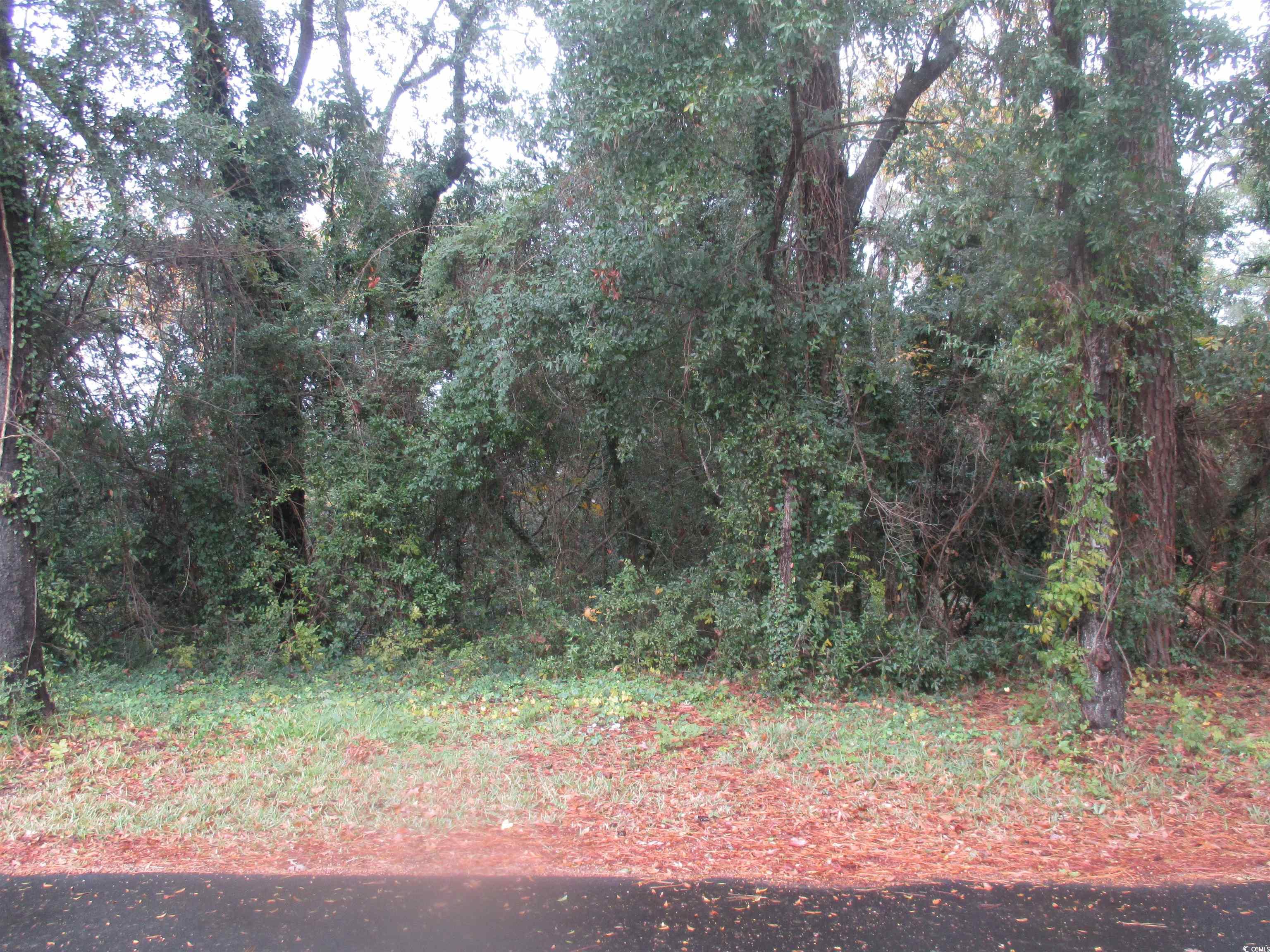 410 14th Avenue North Surfside Beach, SC 29575 - Photo 11 of 16