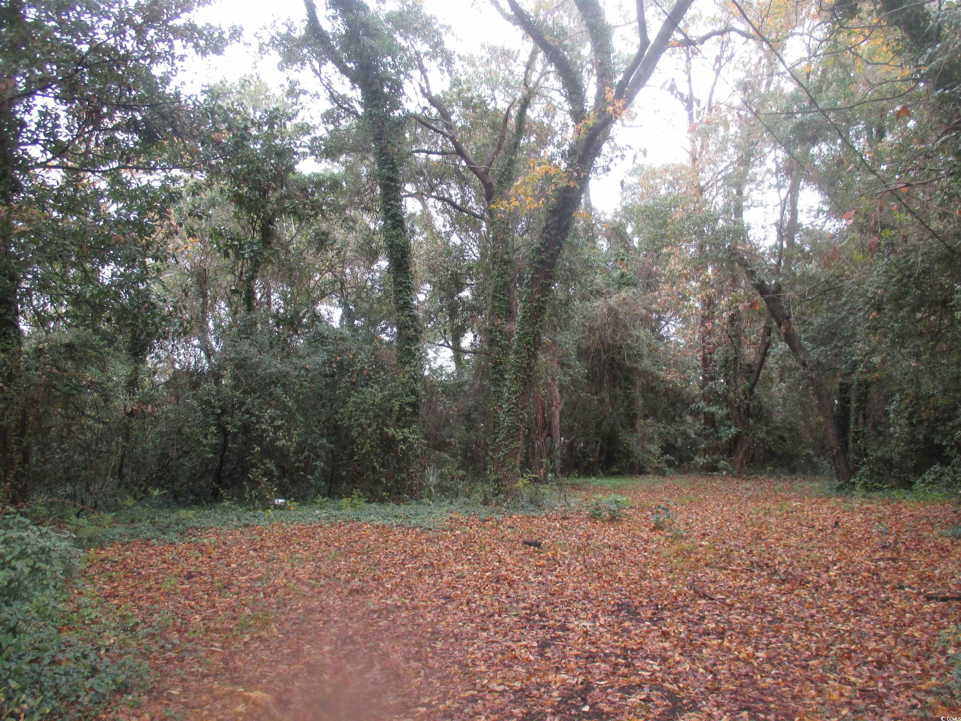 410 14th Avenue North Surfside Beach, SC 29575 - Photo 12 of 16