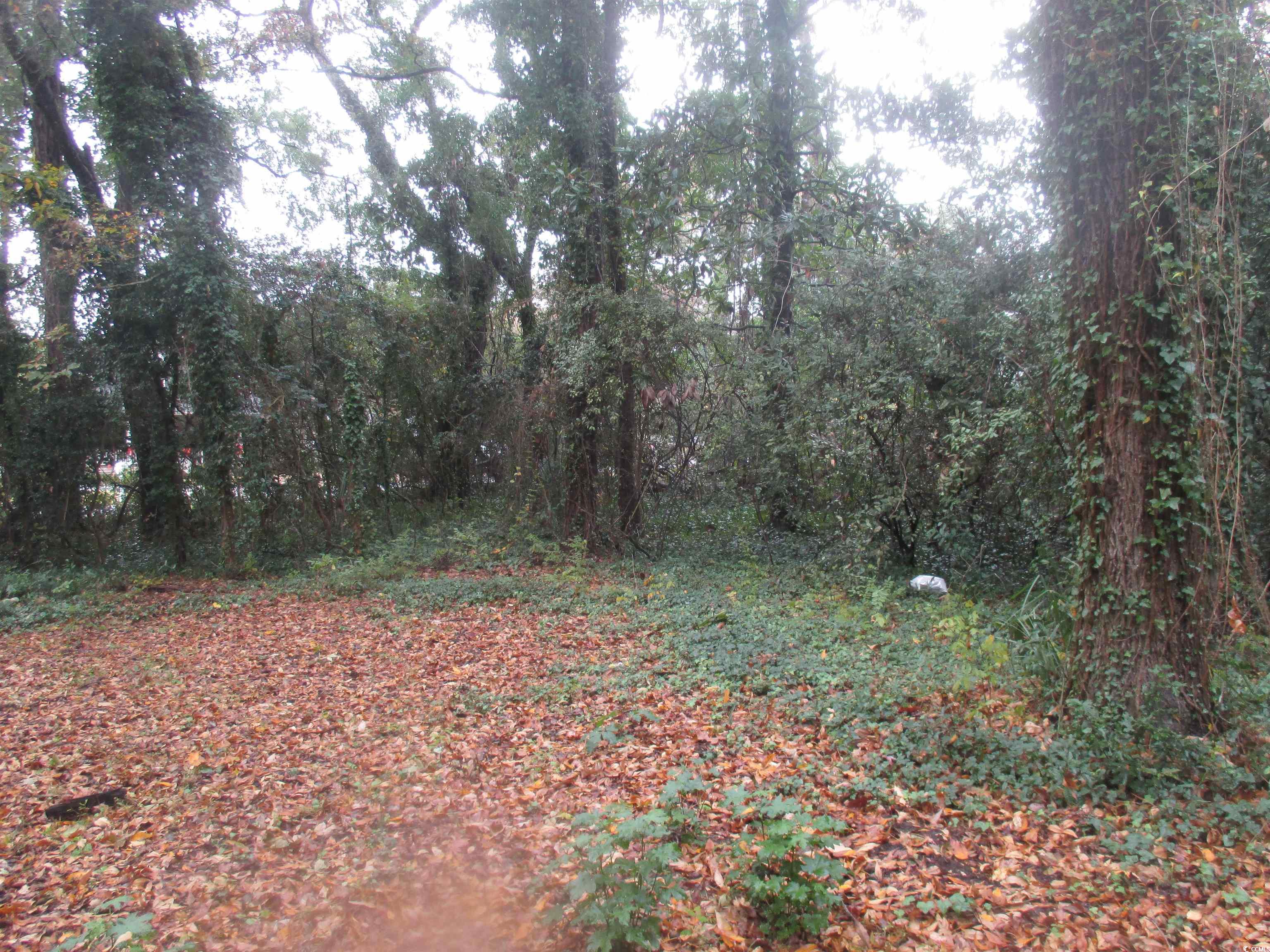 410 14th Avenue North Surfside Beach, SC 29575 - Photo 15 of 16