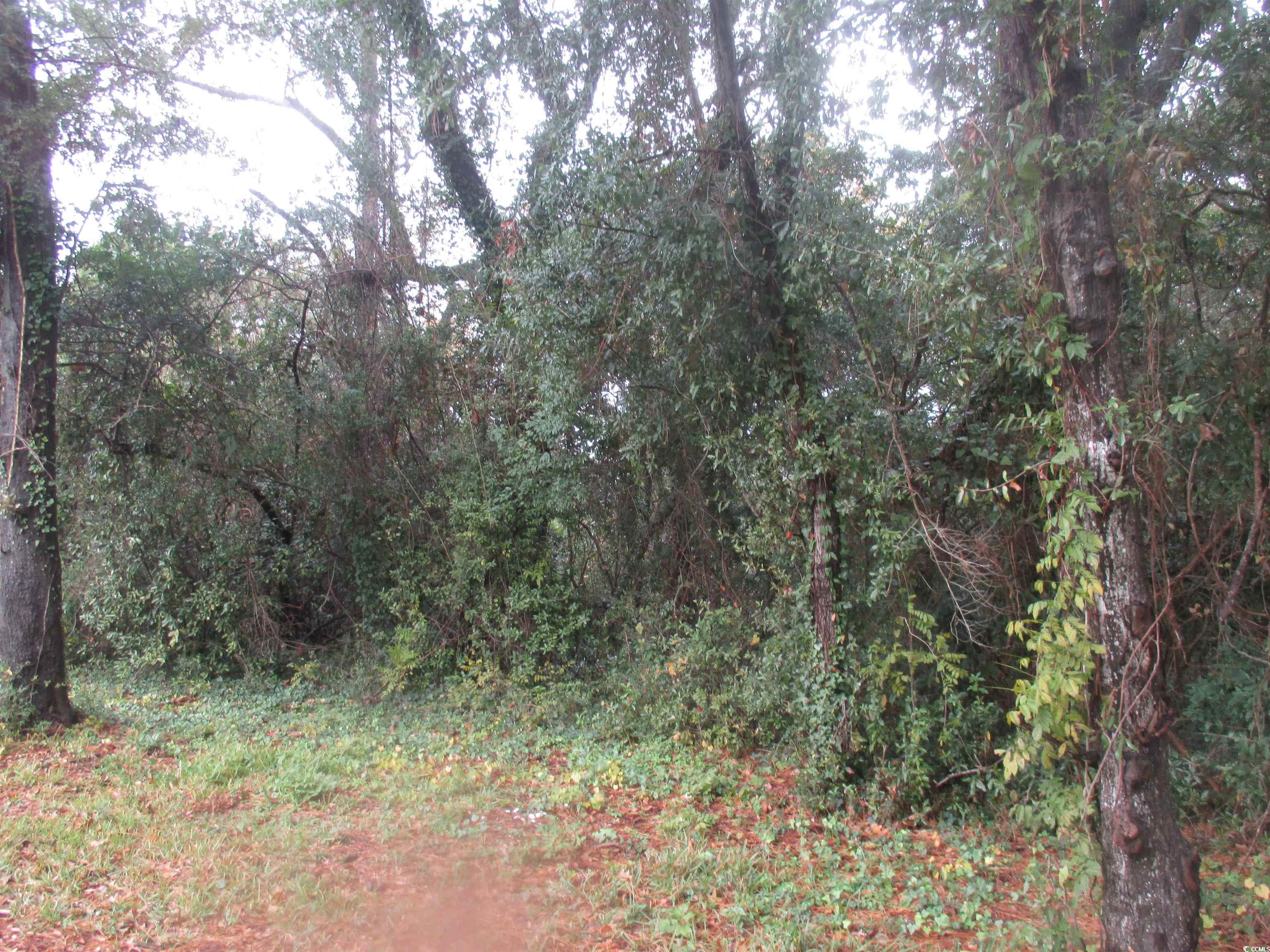 410 14th Avenue North Surfside Beach, SC 29575 - Photo 16 of 16