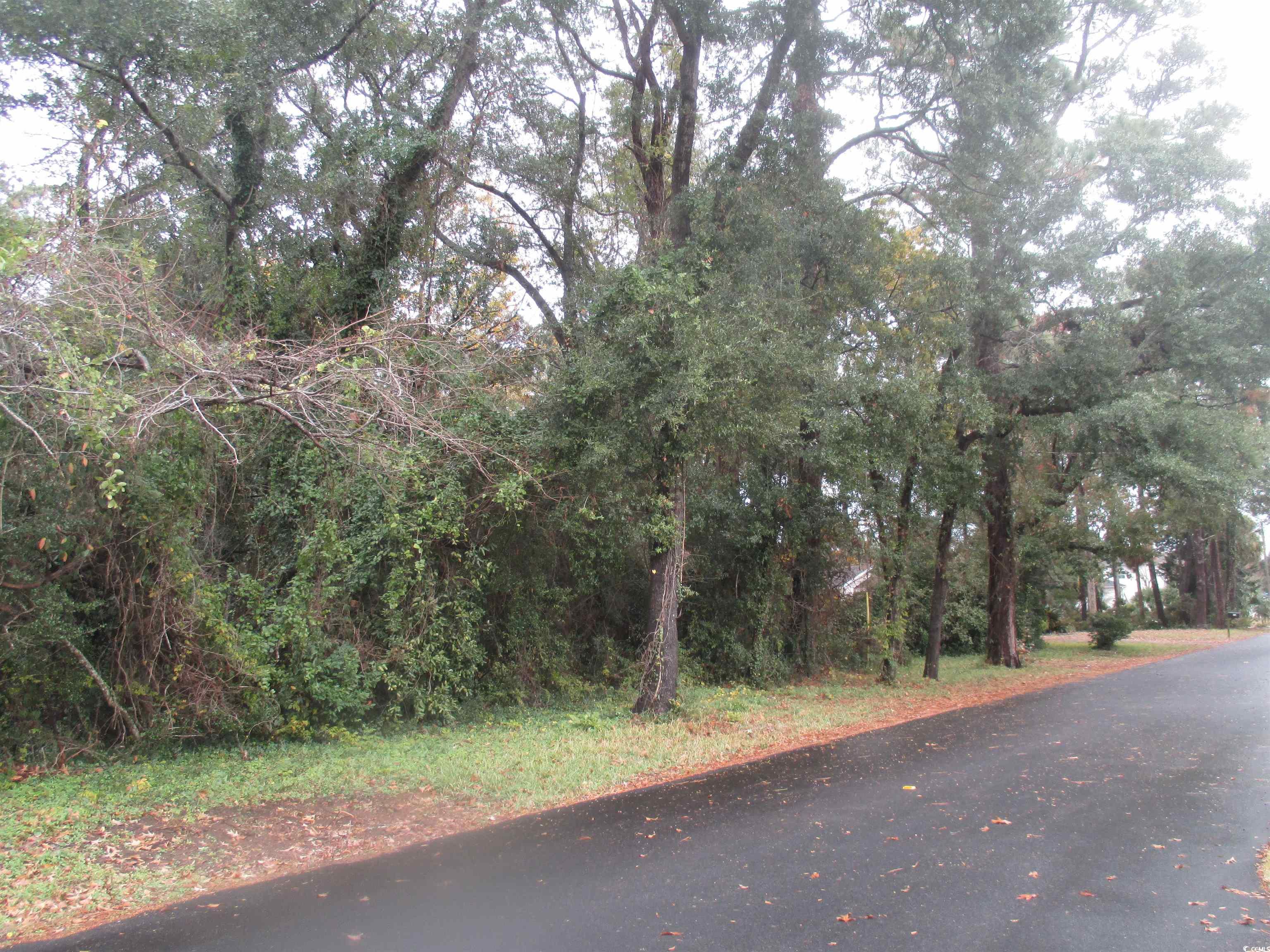 410 14th Avenue North Surfside Beach, SC 29575 - Photo 6 of 16