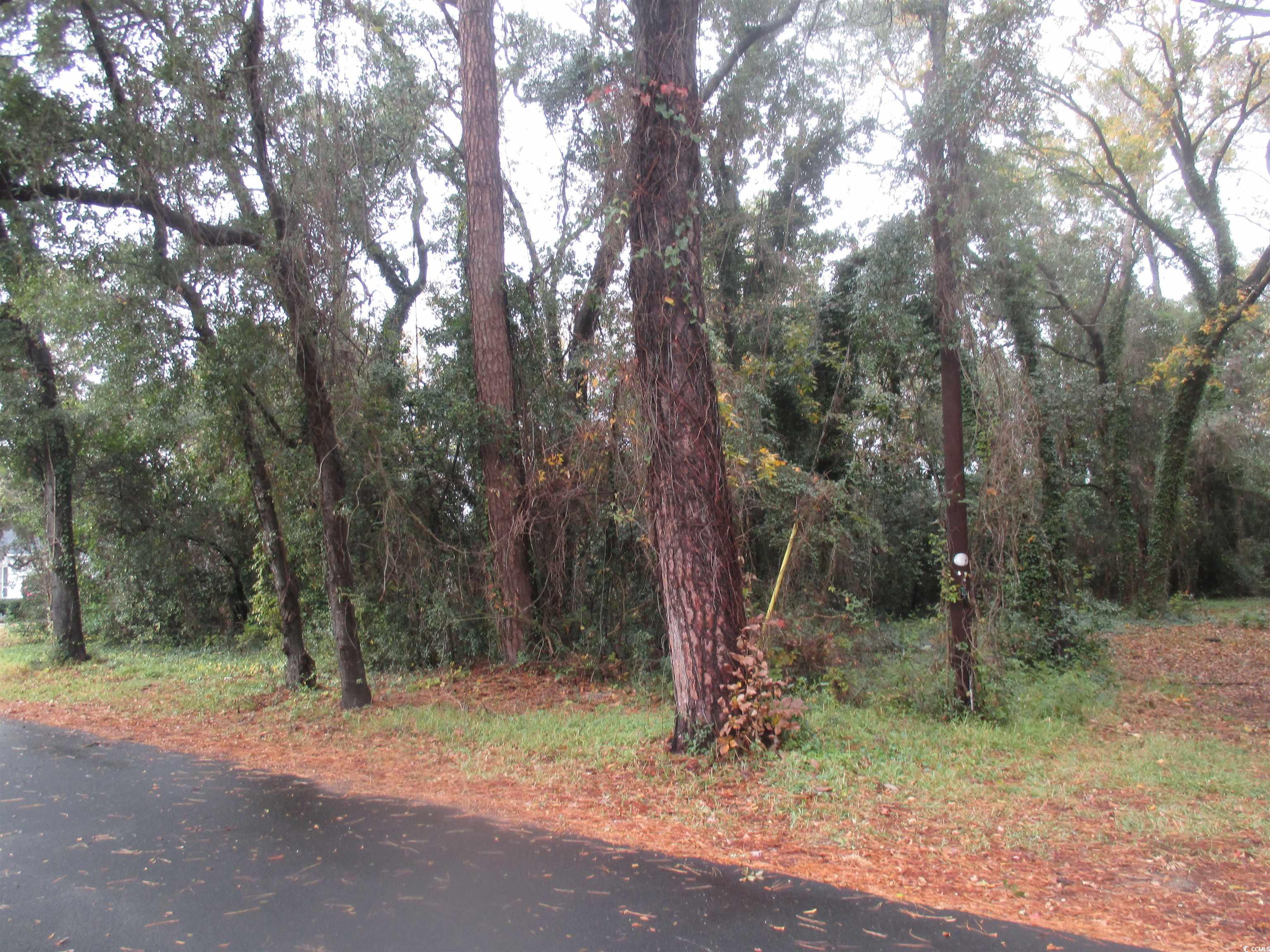410 14th Avenue North Surfside Beach, SC 29575 - Photo 7 of 16