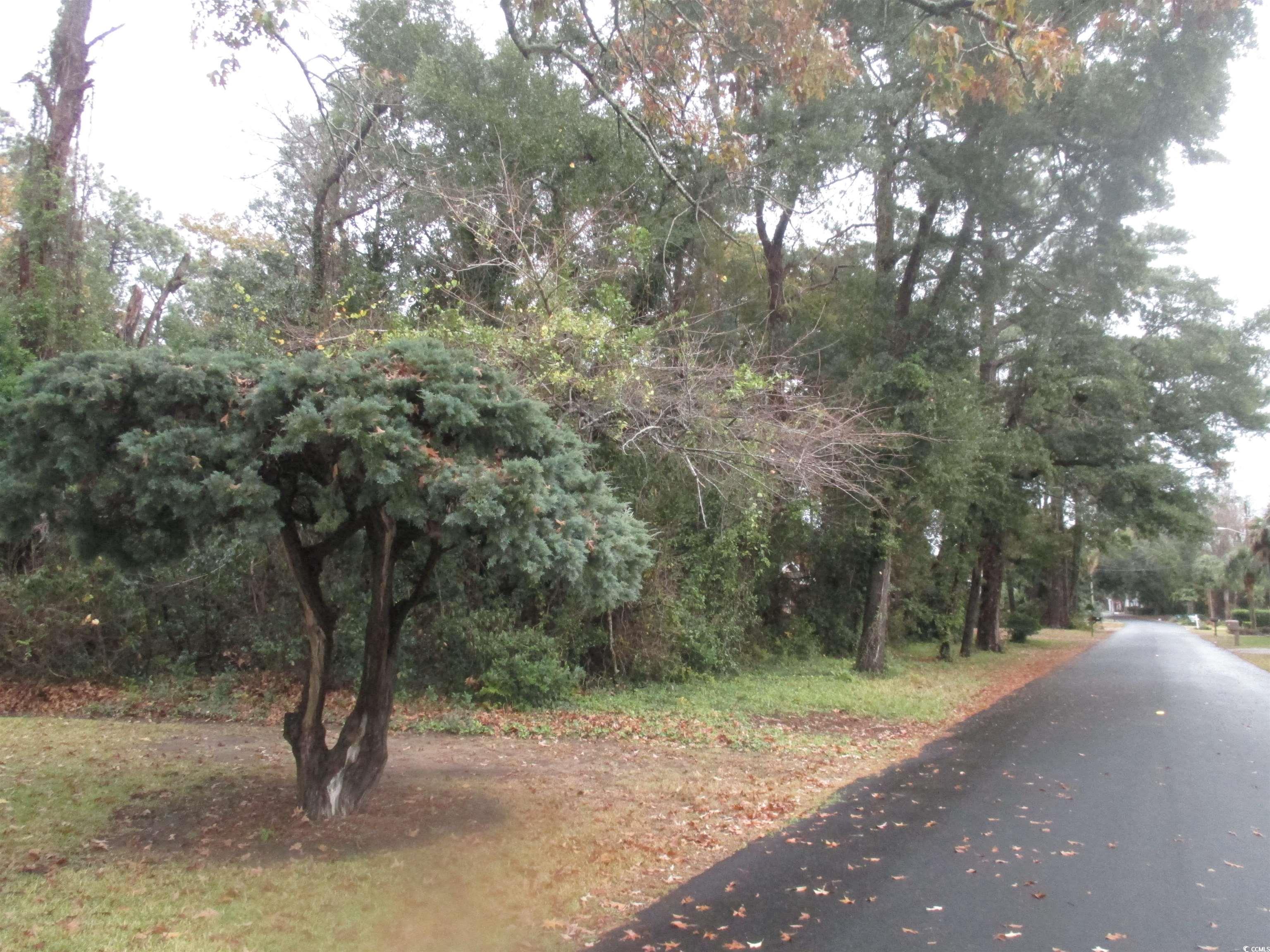 410 14th Avenue North Surfside Beach, SC 29575 - Photo 9 of 16