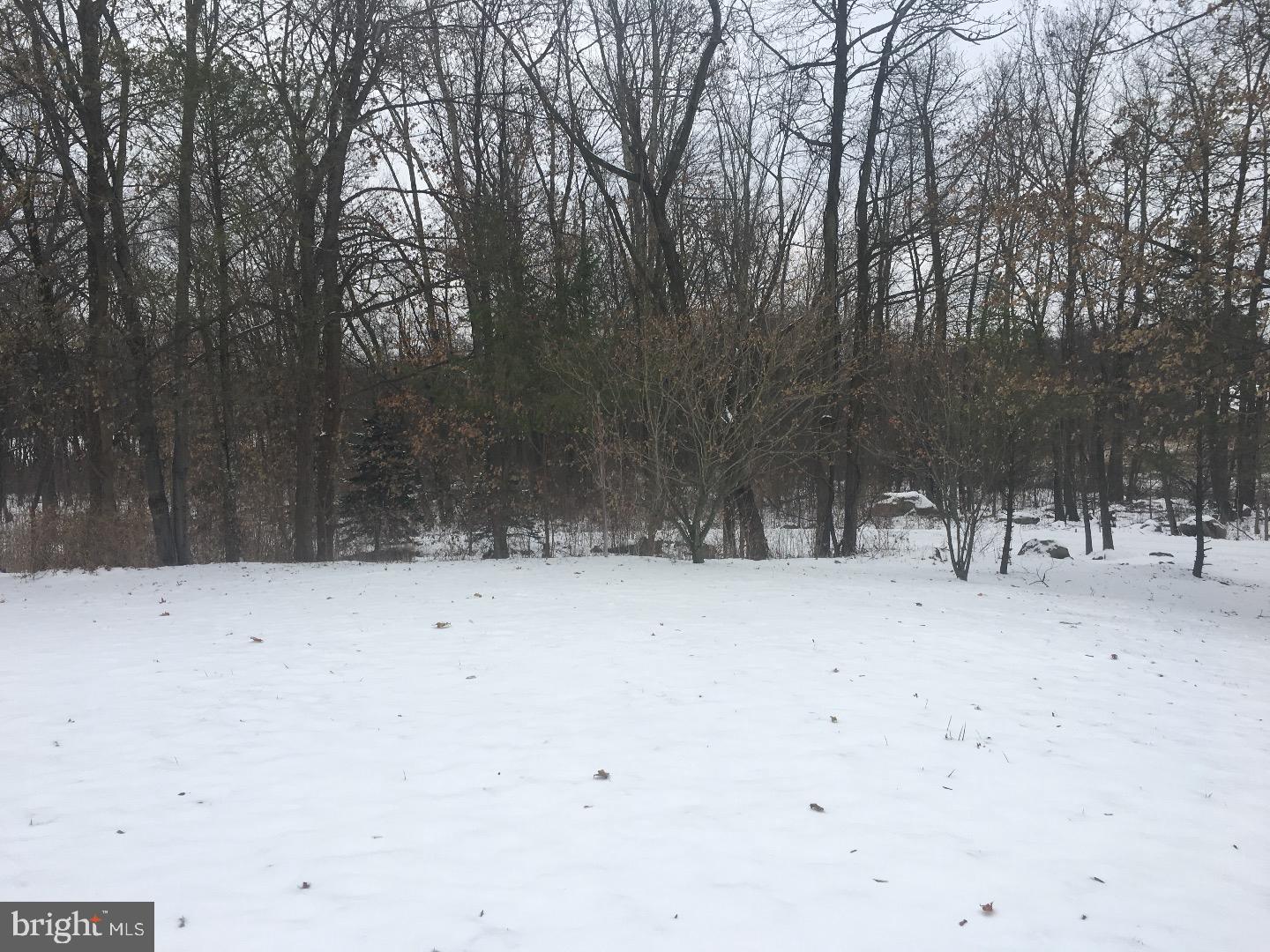 41 St Peters Road Macungie, PA 18062 - Photo 12 of 13 Gallery Image 12