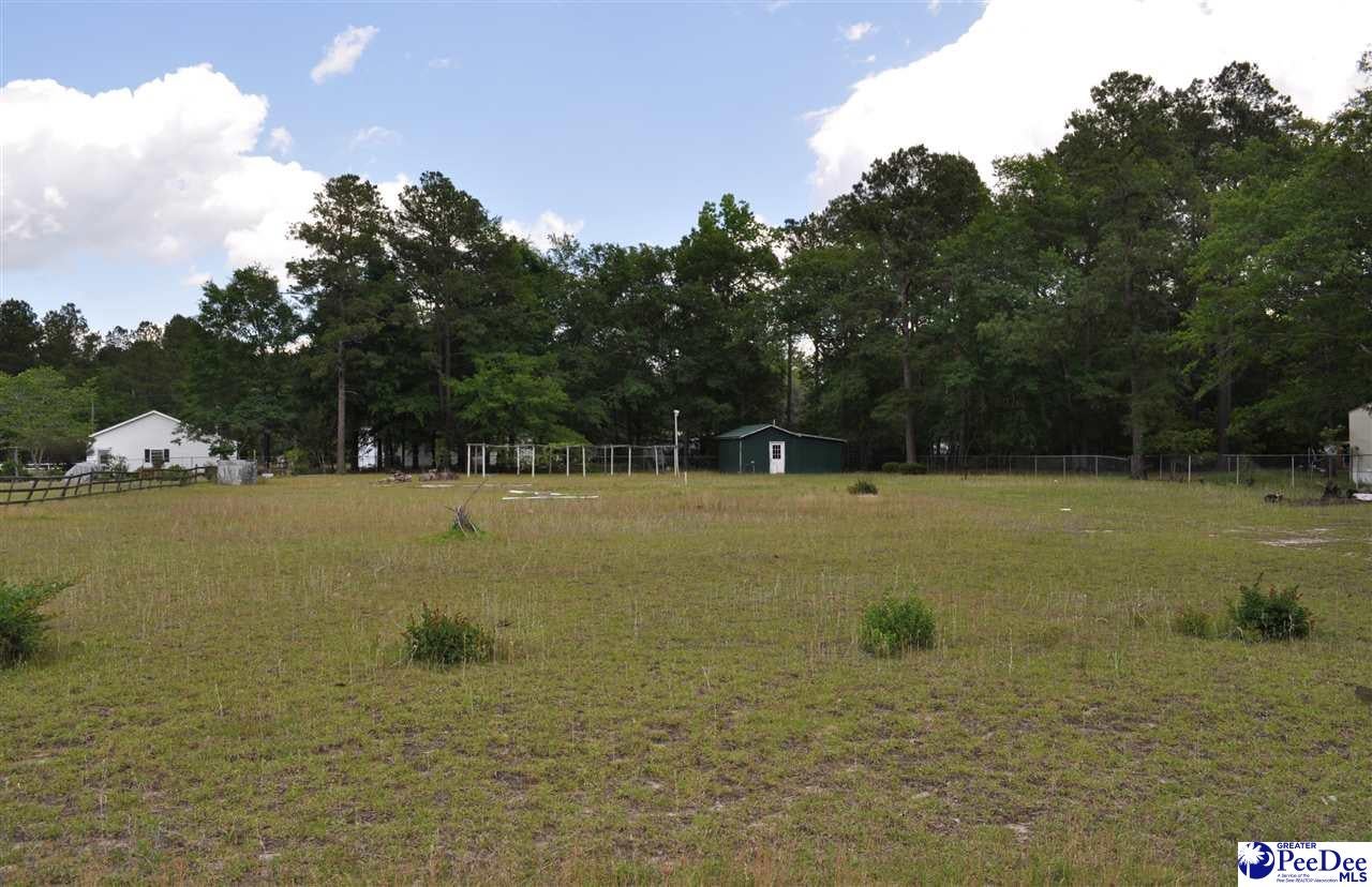 406 South River Pines Road Mullins, SC 29574 - Photo 1 of 1 Gallery Image 1