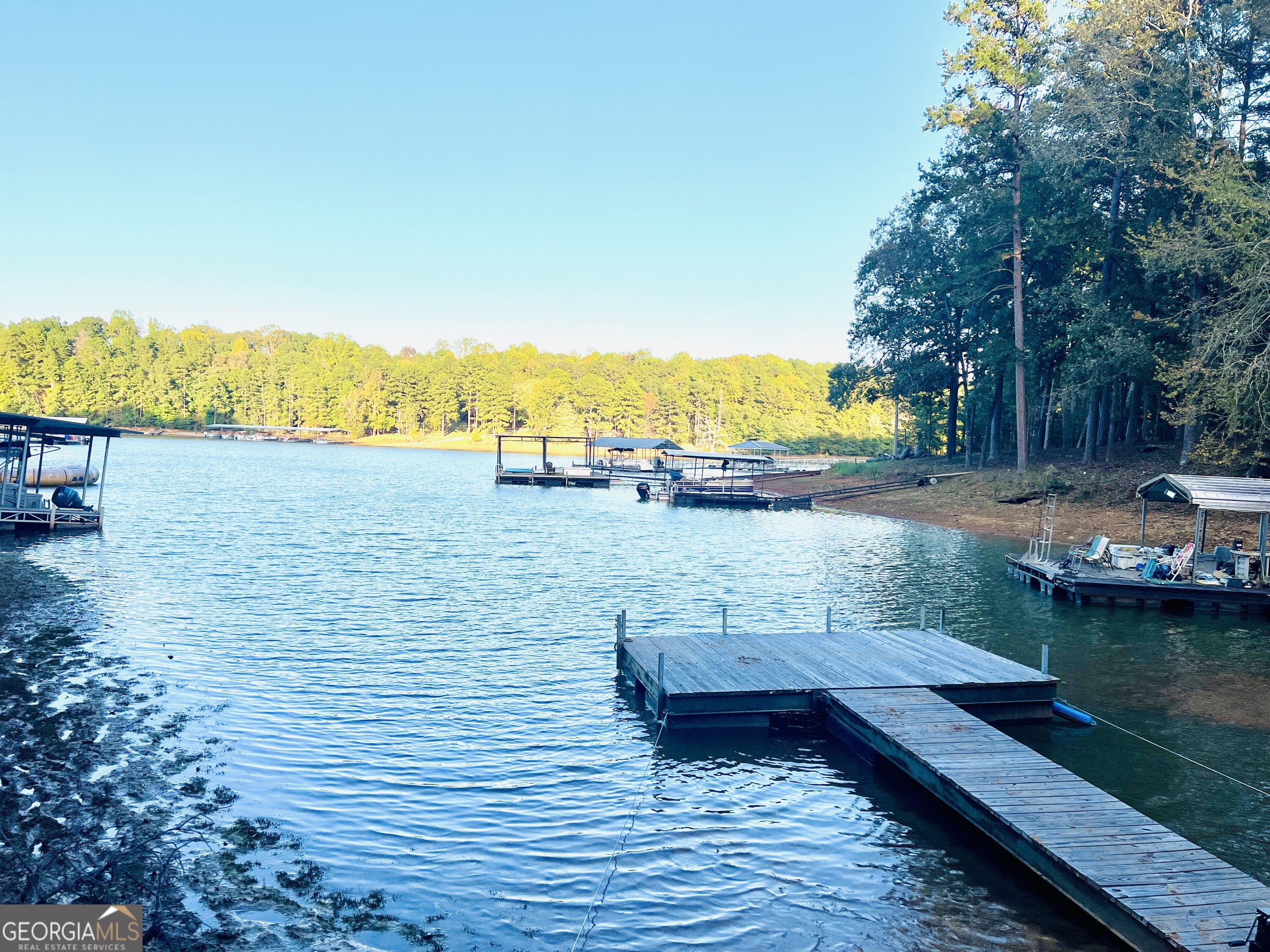 788 Lakeshore Road Martin, GA 30557 - Photo 2 of 29 a view of a lake with outdoor space