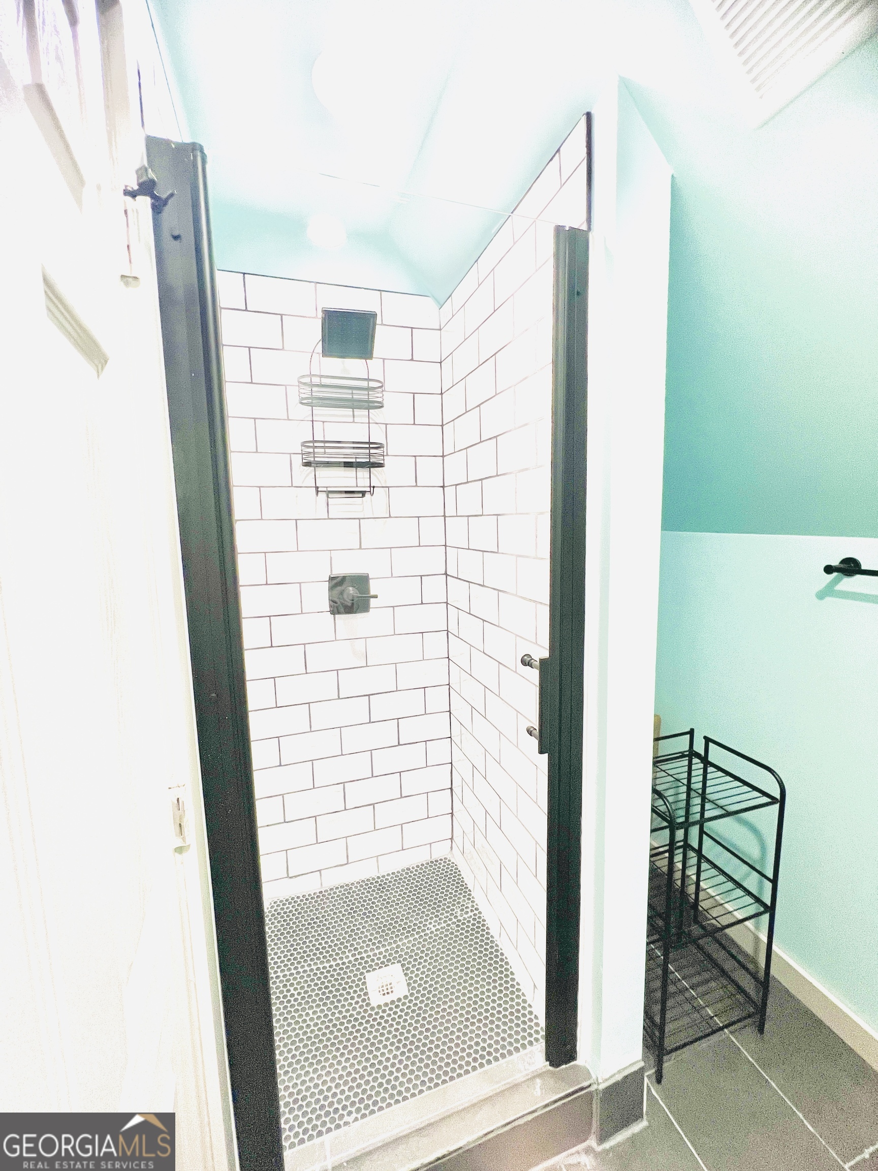 788 Lakeshore Road Martin, GA 30557 - Photo 22 of 29 a bathroom with a shower