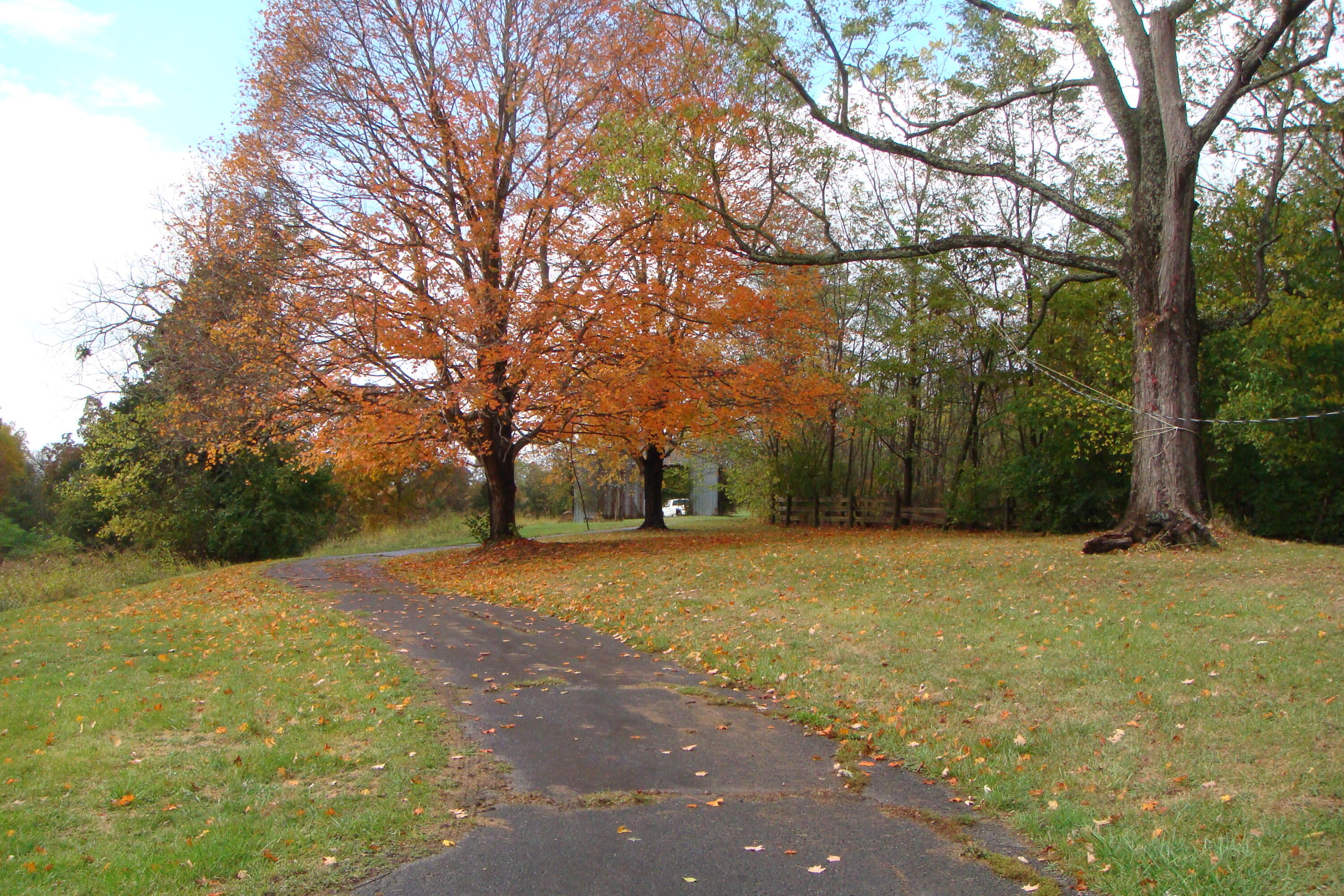 3912 Levee Road Mount Sterling, KY 40353 - Photo 4 of 31 DSC07680