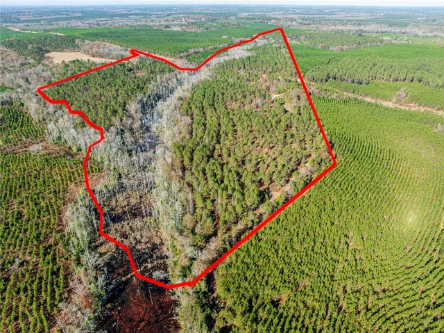 a view of lake with green space