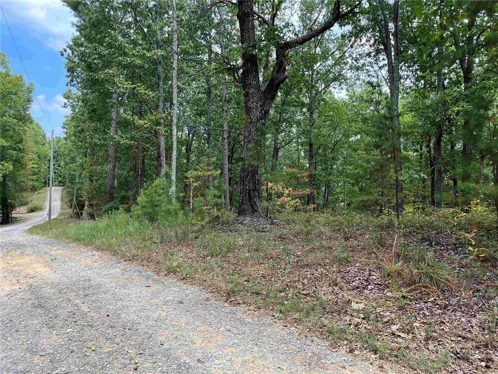 32 Antler Drive Ranger, GA 30734 - Photo 1 of 6 a view of a forest with trees in the background