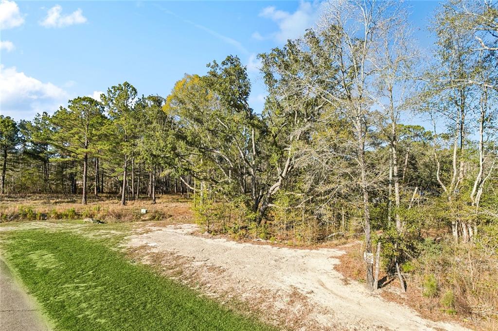 12752 Crossvine Drive Covington, LA 70433 - Photo 4 of 18