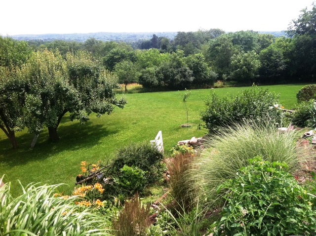 339 High Road Cary, IL 60013 - Photo 19 of 25 a view of a garden with a lake