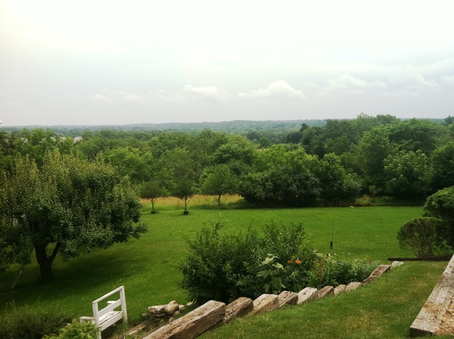 339 High Road Cary, IL 60013 - Photo 2 of 25 a view of a grassy field with trees