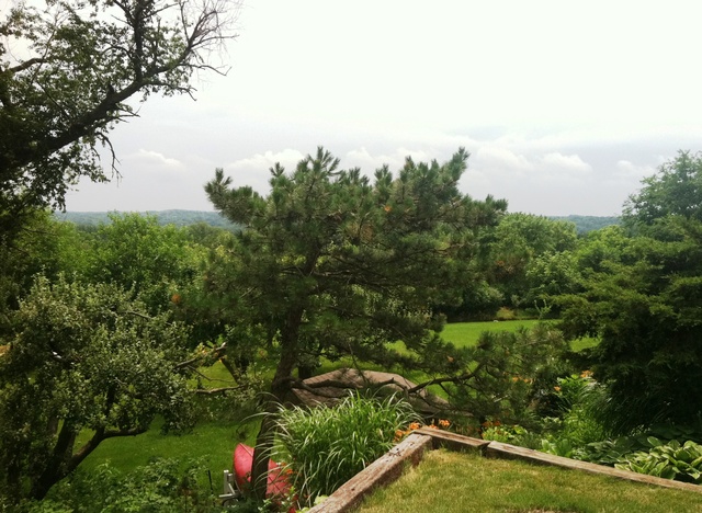 339 High Road Cary, IL 60013 - Photo 21 of 25 a view of a garden