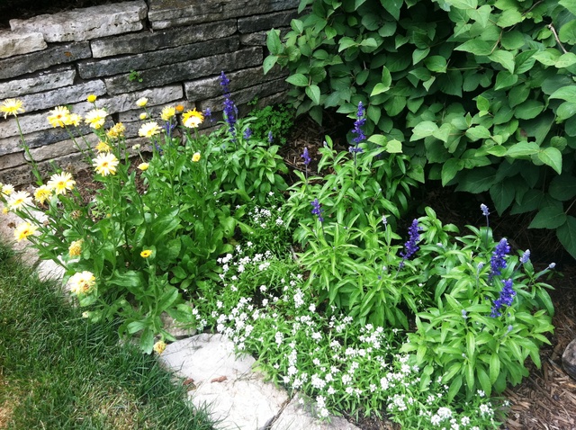 339 High Road Cary, IL 60013 - Photo 22 of 25 a backyard of a house