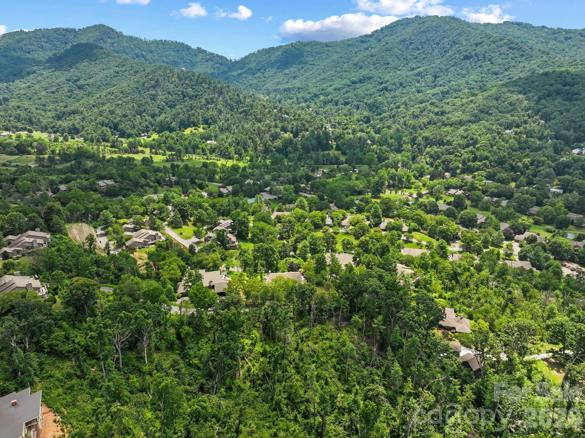 48 Stony Ridge Asheville, NC 28804 - Photo 35 of 38
