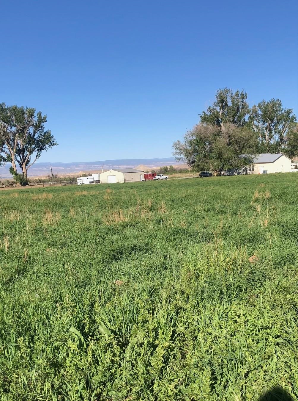 12480 Running Deer Road Eckert, CO 81418 - Photo 16 of 20 Gallery Image 16