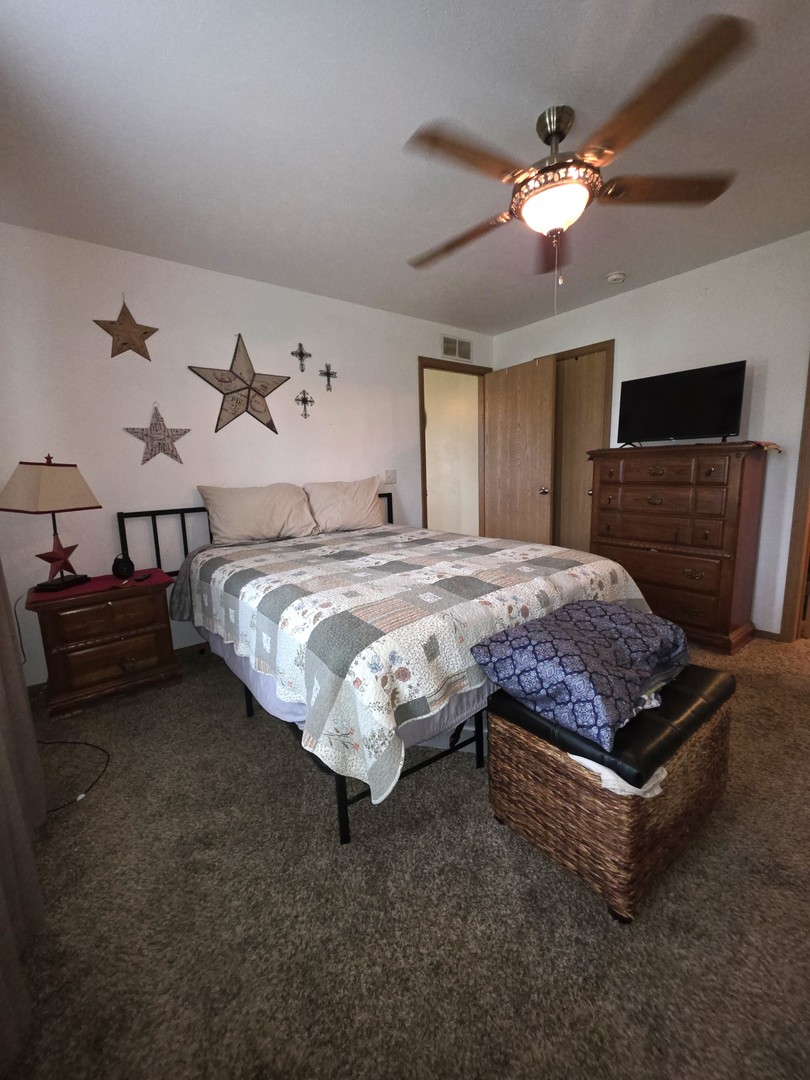 201 3rd Street Clay City, IL 62824 - Photo 42 of 92