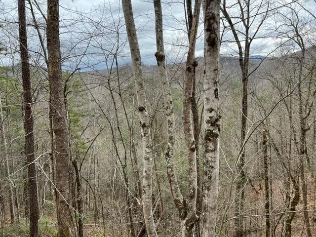 4 Sunset Road Sevierville, TN 37862 - Photo 1 of 15