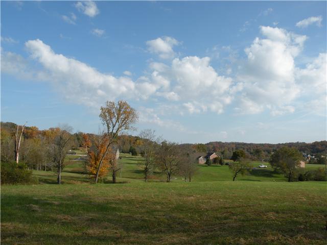 2101 Tinnin Road Goodlettsville, TN 37072 - Photo 1 of 20 Gallery Image 1