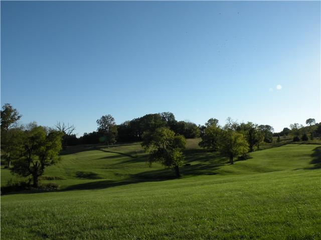 2101 Tinnin Road Goodlettsville, TN 37072 - Photo 2 of 20 Gallery Image 2
