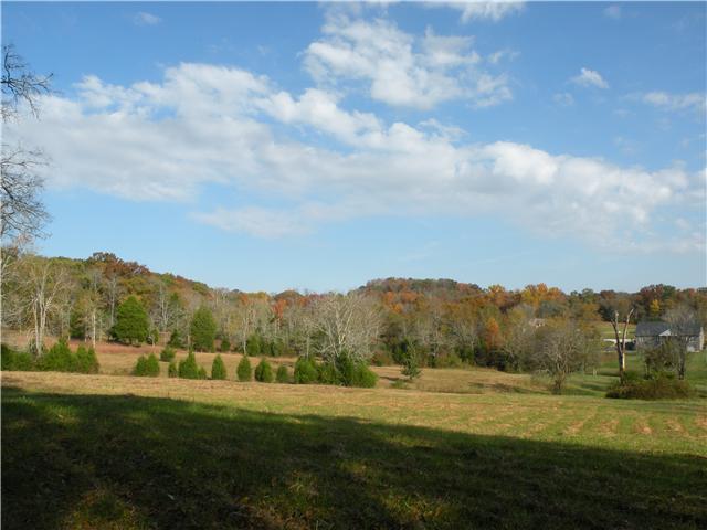 2101 Tinnin Road Goodlettsville, TN 37072 - Photo 16 of 20 Gallery Image 16