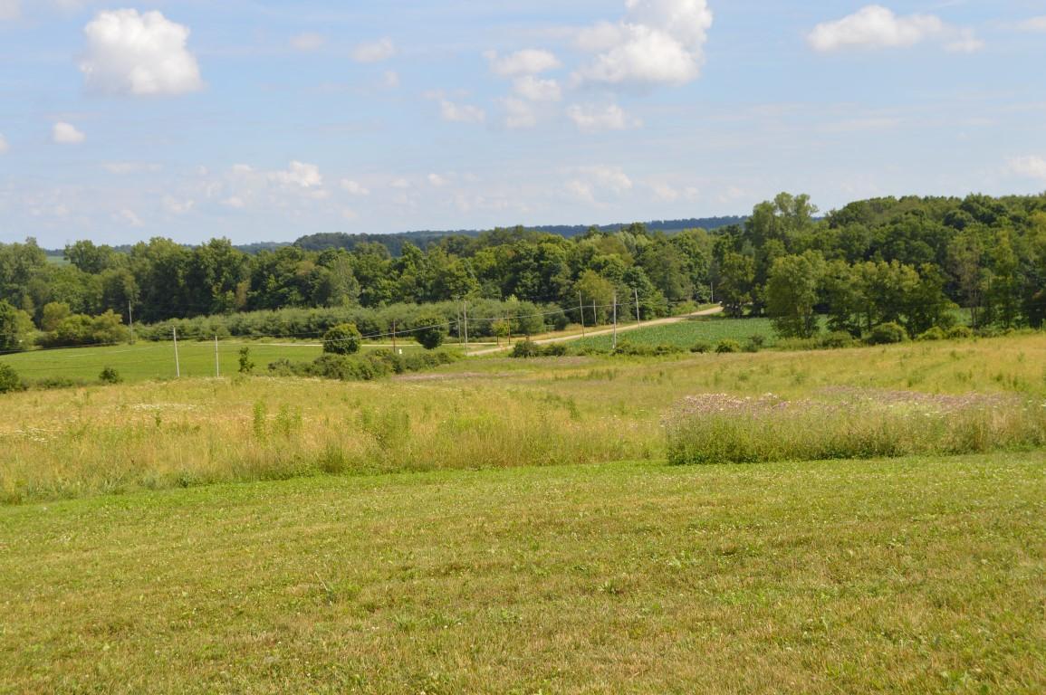 0 Battee Road Northwest Alexandria, OH 43023 - Photo 1 of 6 Gallery Image 1