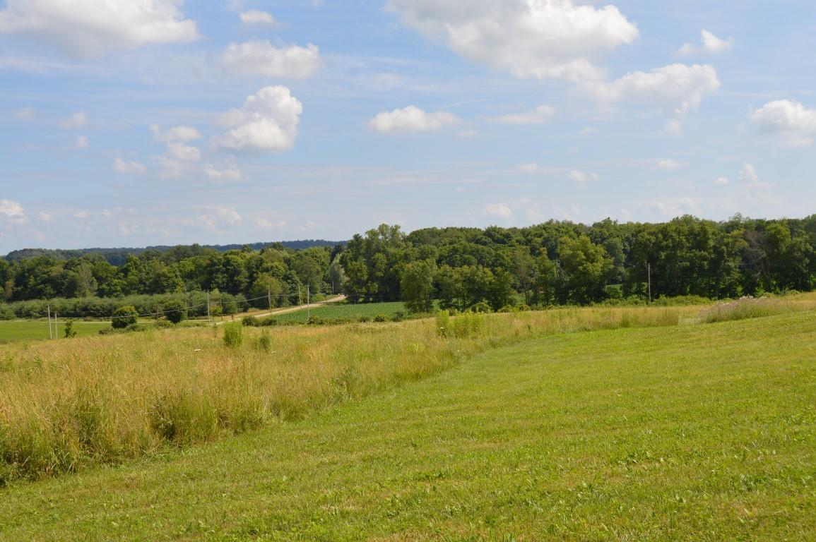 0 Battee Road Northwest Alexandria, OH 43023 - Photo 4 of 6 Gallery Image 4