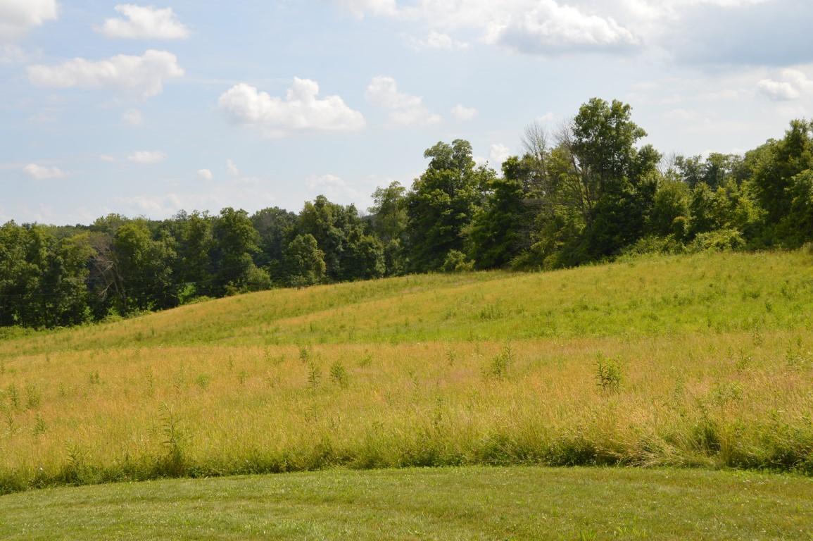 0 Battee Road Northwest Alexandria, OH 43023 - Photo 6 of 6 Gallery Image 6