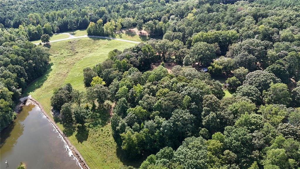Lot 2 Snote Jones Road Dallas, GA 30132 - Photo 14 of 26 a view of a yard with plants and large trees