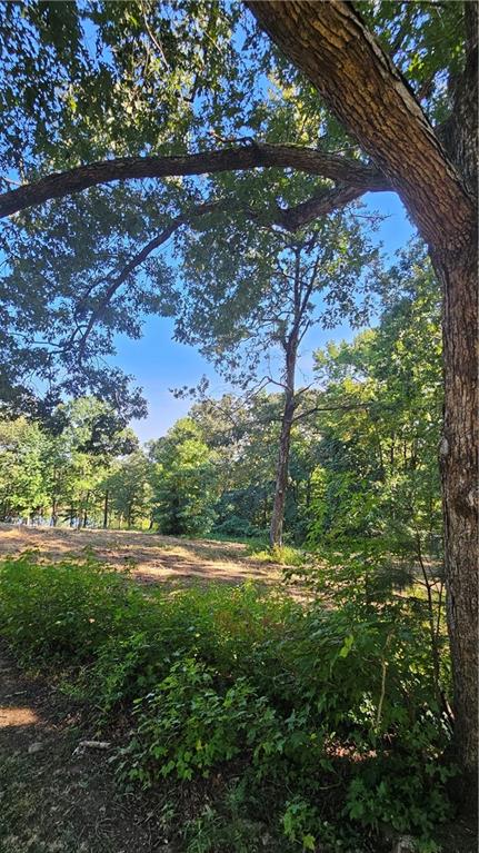 Lot 2 Snote Jones Road Dallas, GA 30132 - Photo 17 of 26 a big yard with lots of green space