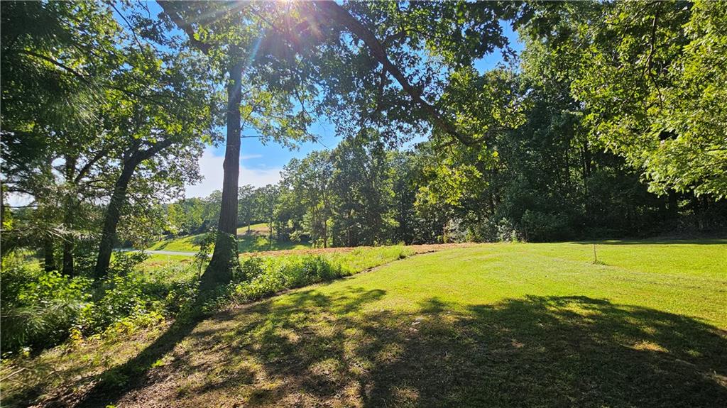 Lot 2 Snote Jones Road Dallas, GA 30132 - Photo 18 of 26 a view of an ocean from a yard