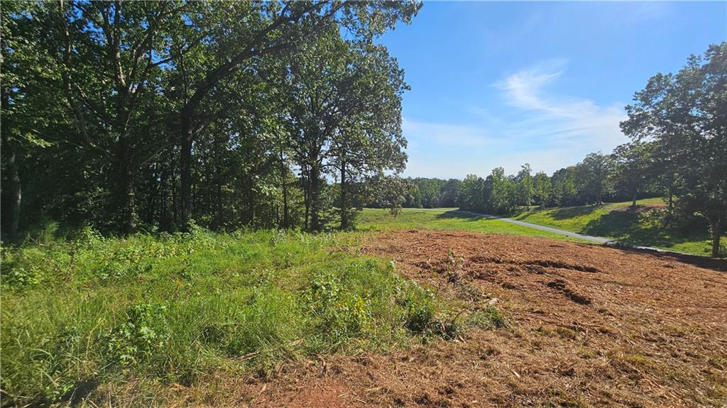 Lot 2 Snote Jones Road Dallas, GA 30132 - Photo 20 of 26 a view of outdoor space