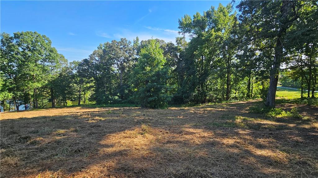 Lot 2 Snote Jones Road Dallas, GA 30132 - Photo 21 of 26 a view of a yard with a tree