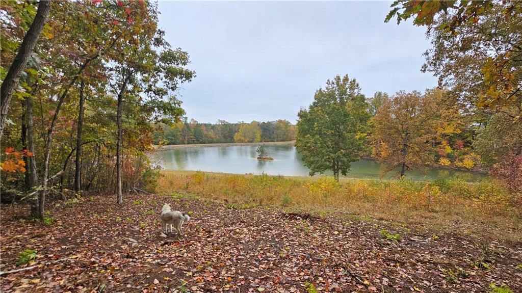 Lot 2 Snote Jones Road Dallas, GA 30132 - Photo 24 of 26 a view of house with ocean view