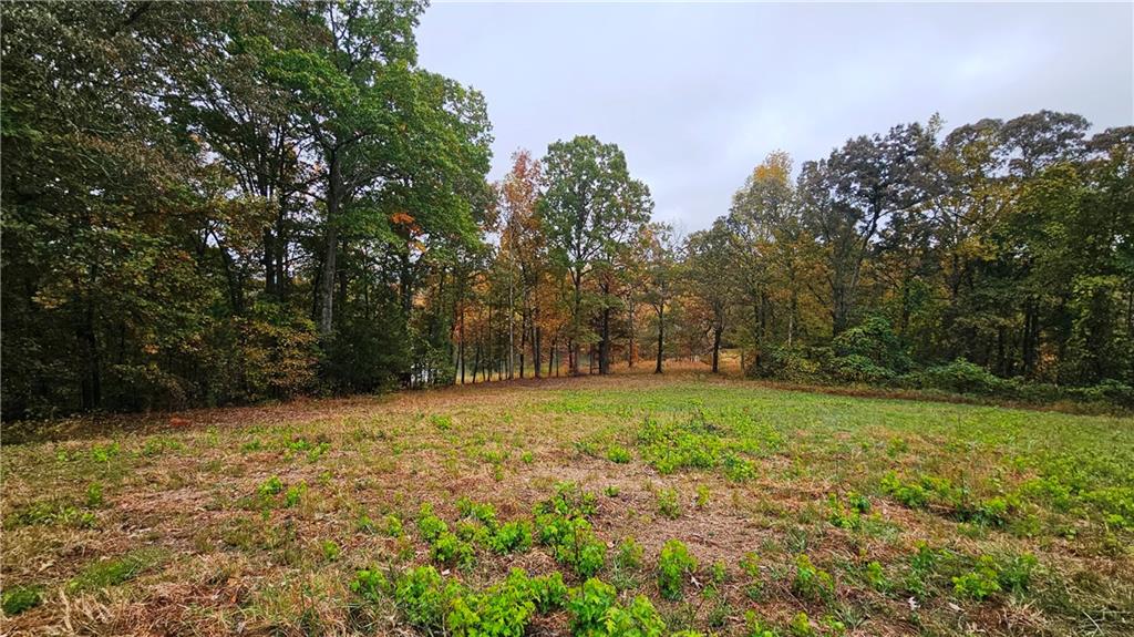 Lot 2 Snote Jones Road Dallas, GA 30132 - Photo 26 of 26 a view of a field with trees in the background