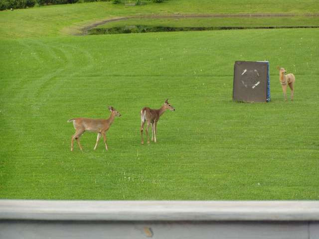 156 Middleline Road Ballston Spa, NY 12020 - Photo 10 of 12 Photo 10