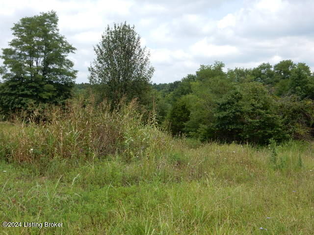 0 Deatsville Road Shepherdsville, KY 40165 - Photo 4 of 5 DSCN8221