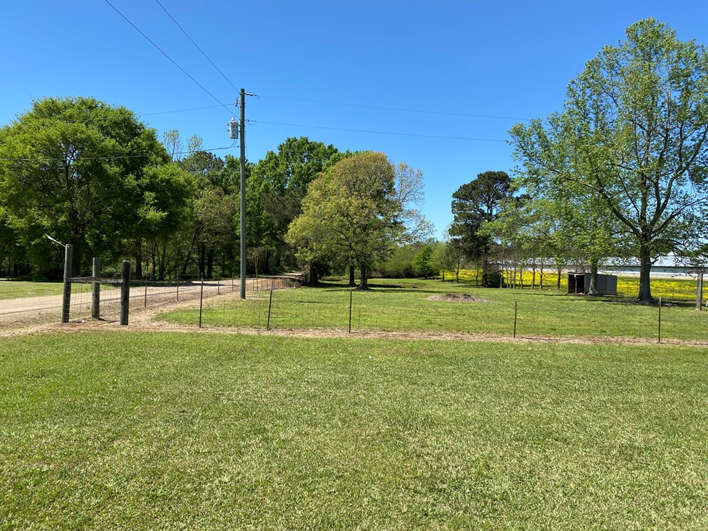191 Dummy Line Road Jayess, MS 39641 - Photo 23 of 30 Side yard and pasture