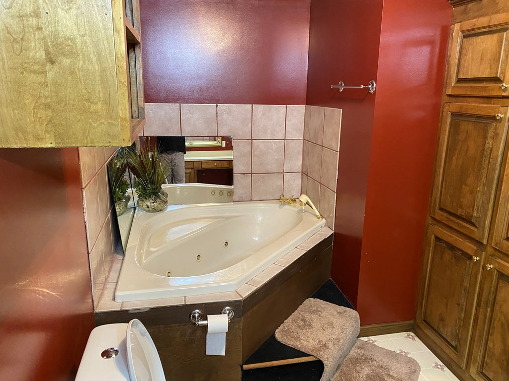 191 Dummy Line Road Jayess, MS 39641 - Photo 10 of 30 Master bath