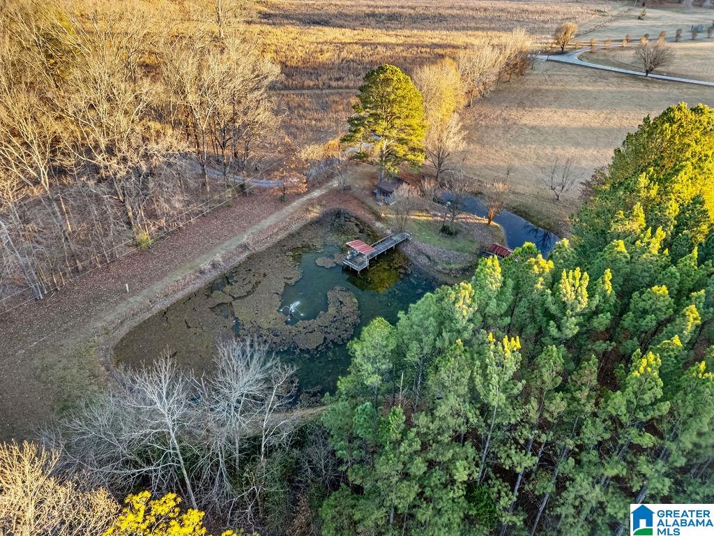 200 Carter Drive Springville, AL 35146 - Photo 8 of 66