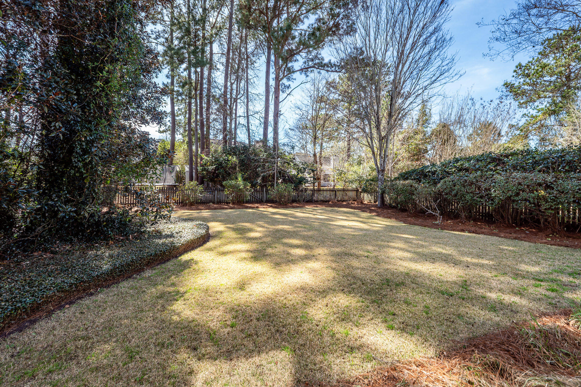 294 Jardinere Walk Mount Pleasant, SC 29464 - Photo 45 of 49 46