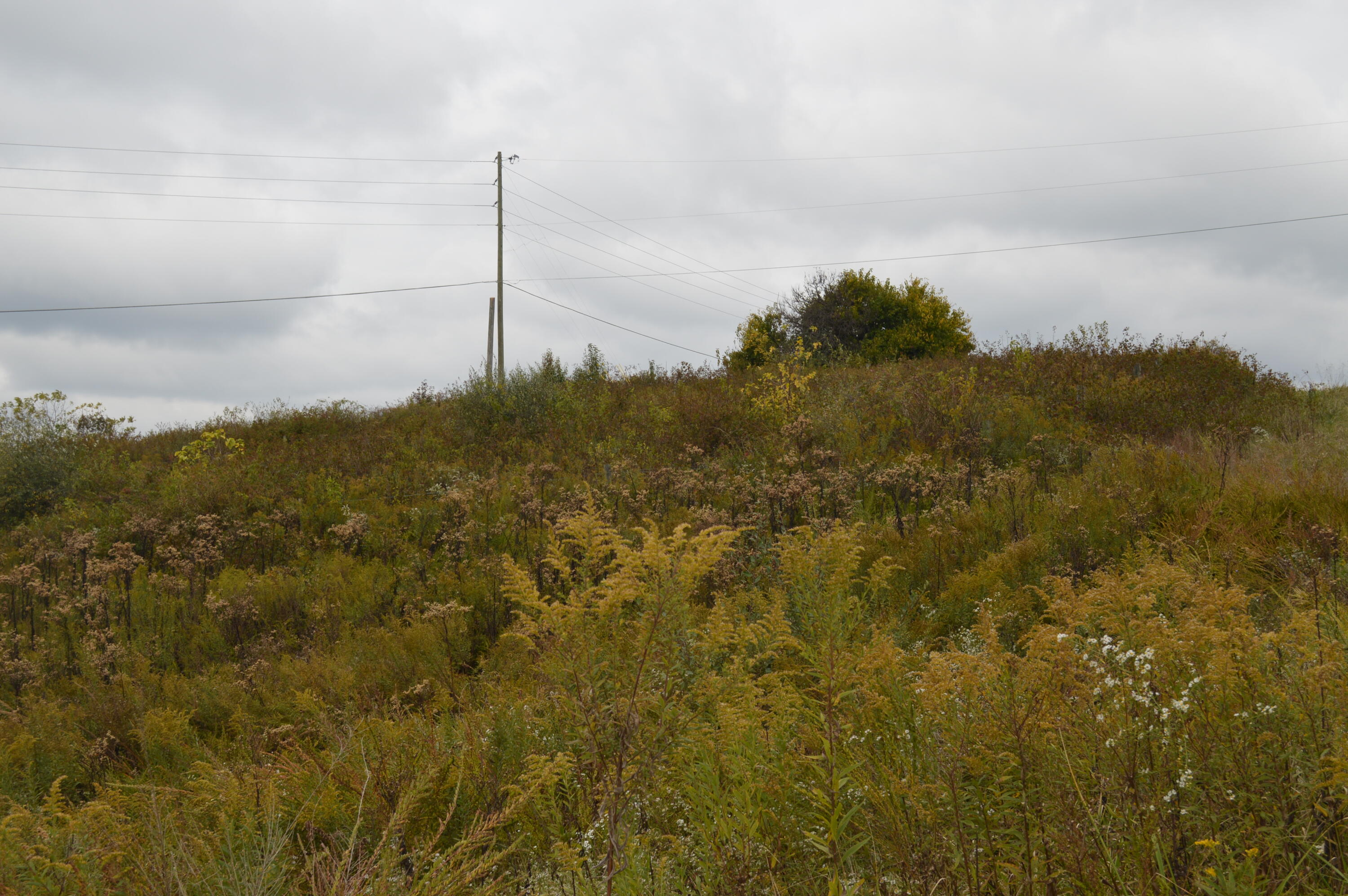 Lot #2 Georgetown Road Owenton, KY 40359 - Photo 5 of 10